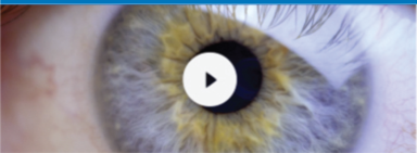 visual cues inform snap decisions